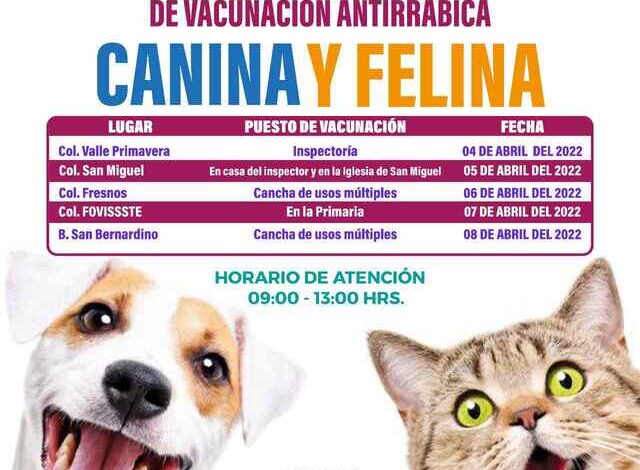 Vacunación, Perros, Gatos, Izúcar de Matamoros, Antirrábica, Jornada,